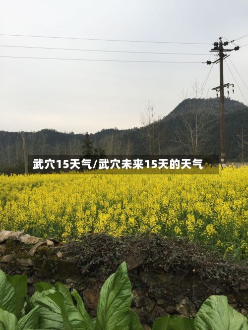 武穴15天气/武穴未来15天的天气