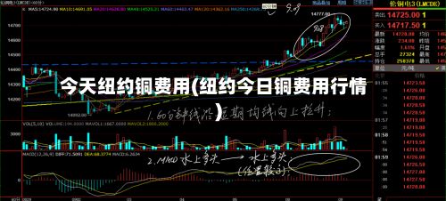 今天纽约铜费用(纽约今日铜费用行情)