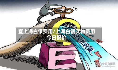 查上海白银费用/上海白银实物费用今日报价-第3张图片