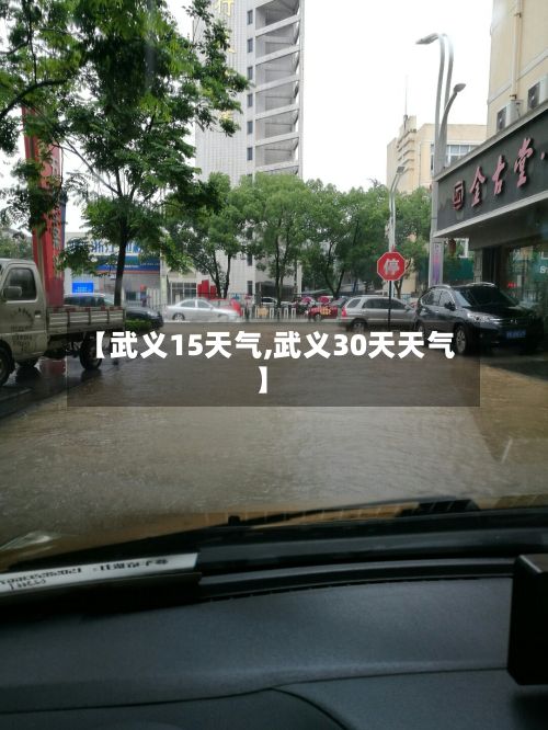 【武义15天气,武义30天天气】