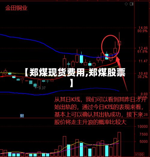 【郑煤现货费用,郑煤股票】-第3张图片