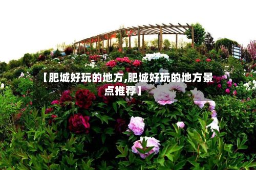 【肥城好玩的地方,肥城好玩的地方景点推荐】-第2张图片