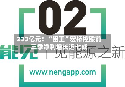 233亿元！“铝王”宏桥控股前三季净利增长近七成-第3张图片