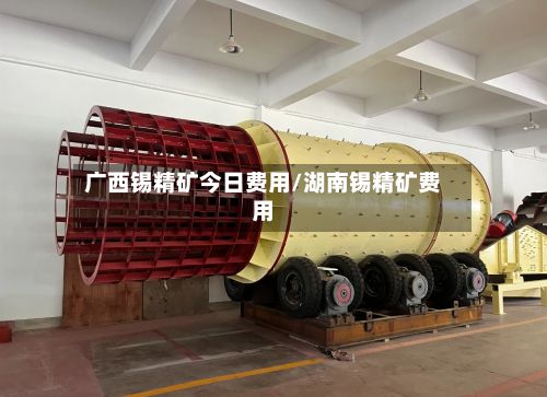 广西锡精矿今日费用/湖南锡精矿费用