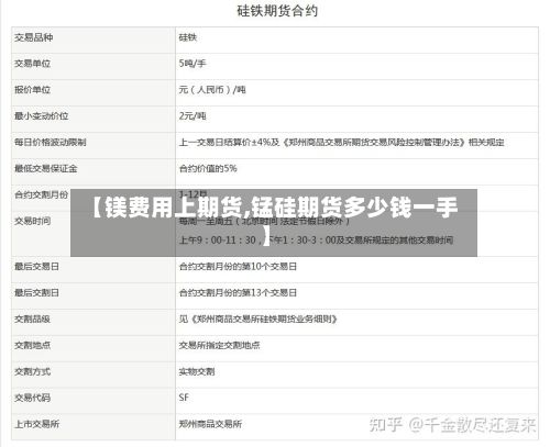 【镁费用上期货,锰硅期货多少钱一手】-第2张图片