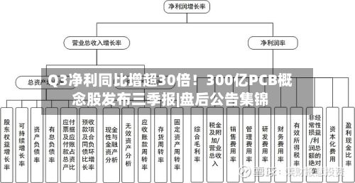 Q3净利同比增超30倍！300亿PCB概念股发布三季报|盘后公告集锦-第1张图片