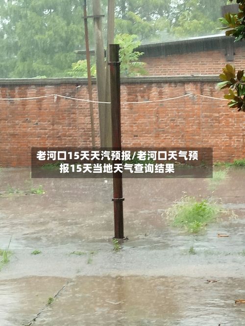 老河口15天天汽预报/老河口天气预报15天当地天气查询结果