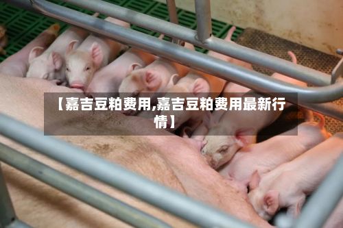 【嘉吉豆粕费用,嘉吉豆粕费用最新行情】-第2张图片