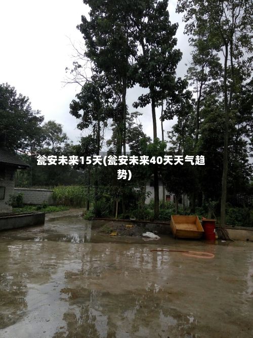 瓮安未来15天(瓮安未来40天天气趋势)