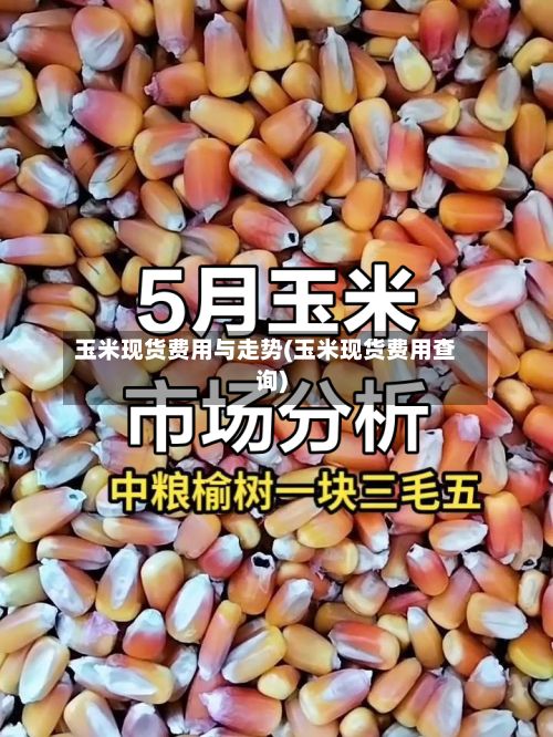 玉米现货费用与走势(玉米现货费用查询)