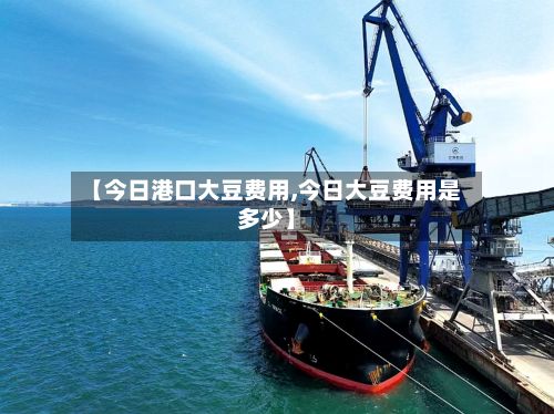 【今日港口大豆费用,今日大豆费用是多少】