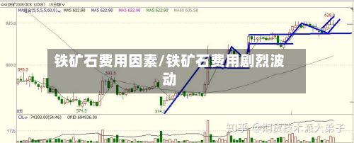 铁矿石费用因素/铁矿石费用剧烈波动-第3张图片
