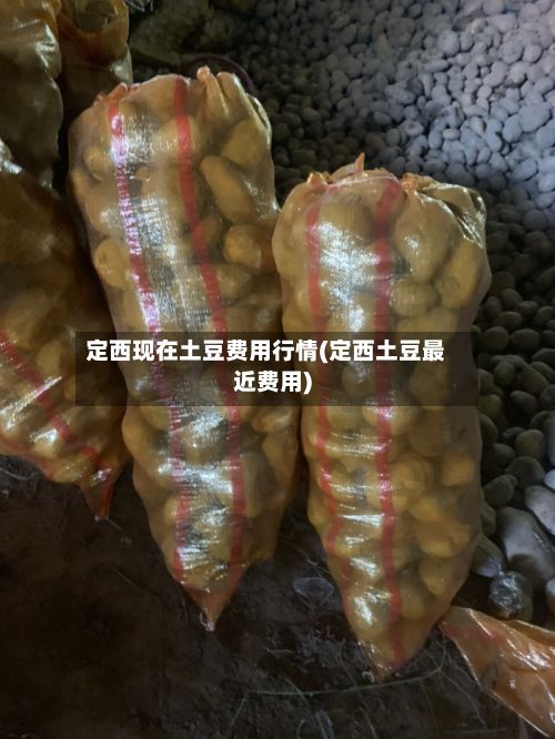 定西现在土豆费用行情(定西土豆最近费用)-第3张图片