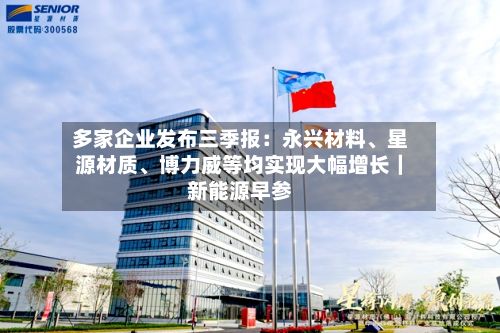 多家企业发布三季报：永兴材料、星源材质、博力威等均实现大幅增长｜新能源早参-第2张图片