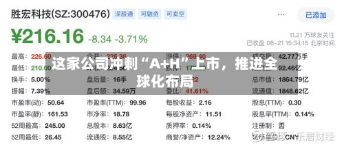 这家公司冲刺“A+H”上市，推进全球化布局