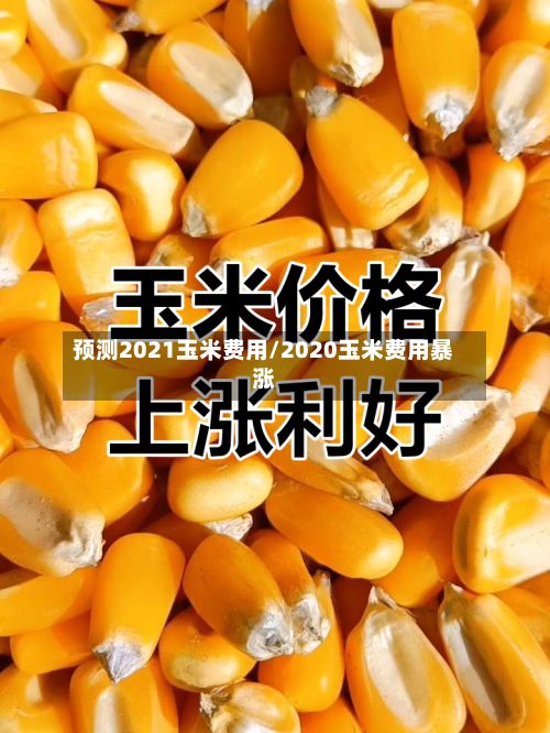 预测2021玉米费用/2020玉米费用暴涨