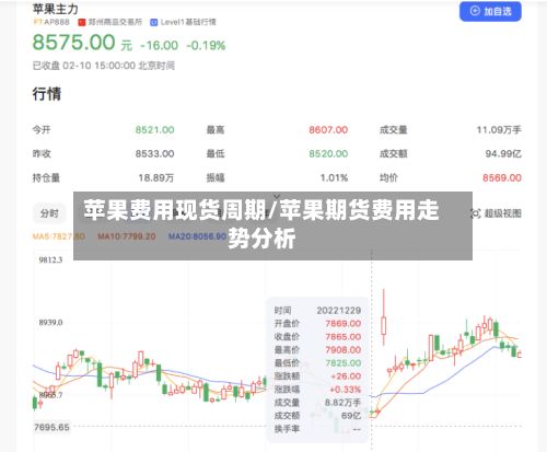 苹果费用现货周期/苹果期货费用走势分析-第2张图片
