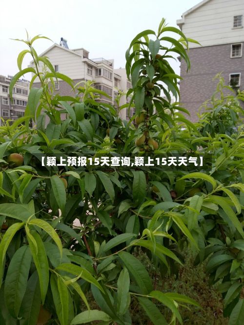 【颖上预报15天查询,颖上15天天气】-第2张图片