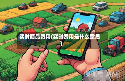 实时商品费用(实时费用是什么意思)