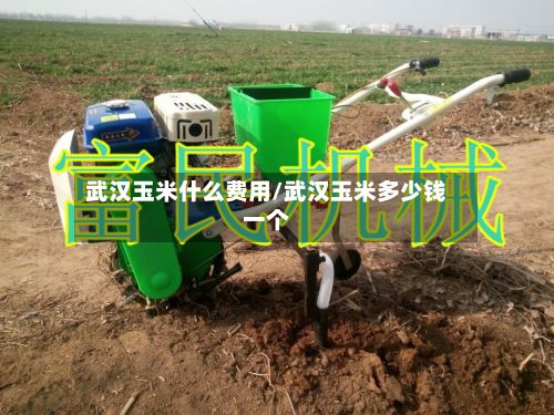 武汉玉米什么费用/武汉玉米多少钱一个