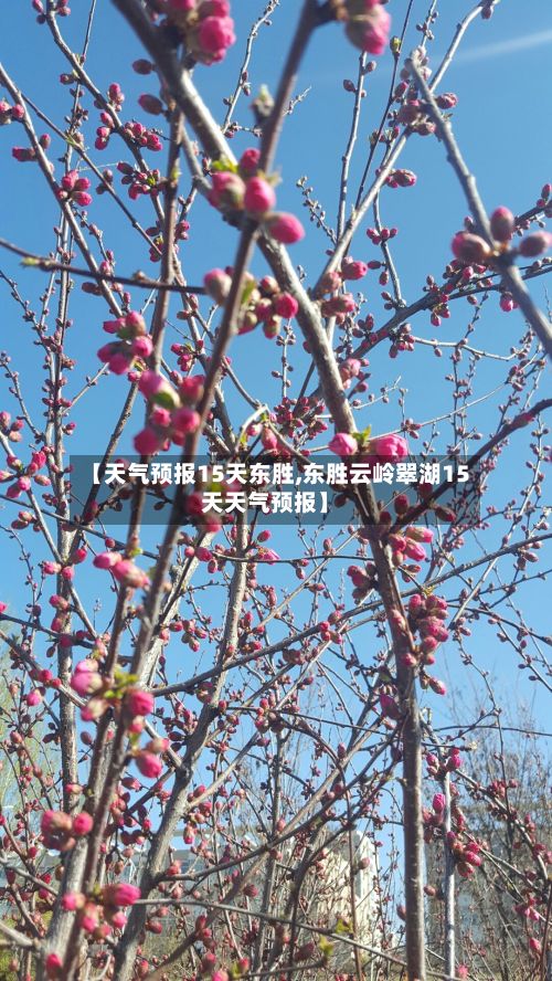 【天气预报15天东胜,东胜云岭翠湖15天天气预报】-第2张图片