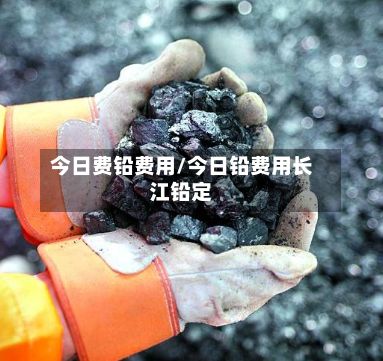 今日费铅费用/今日铅费用长江铅定-第2张图片