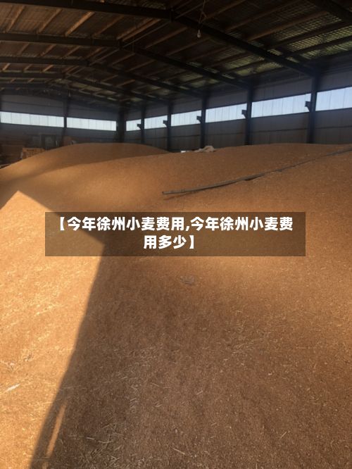 【今年徐州小麦费用,今年徐州小麦费用多少】