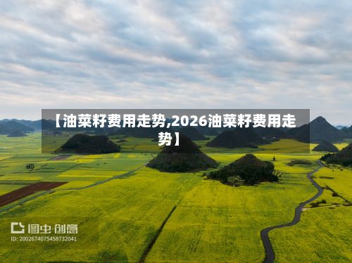 【油菜籽费用走势,2026油菜籽费用走势】-第2张图片