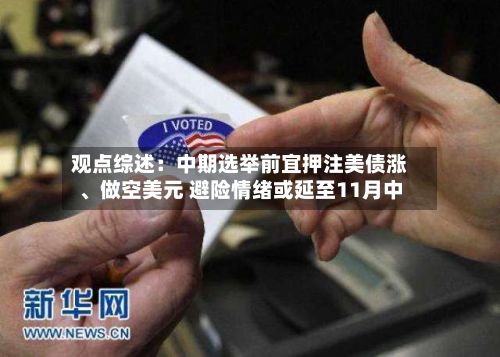 观点综述：中期选举前宜押注美债涨、做空美元 避险情绪或延至11月中-第2张图片