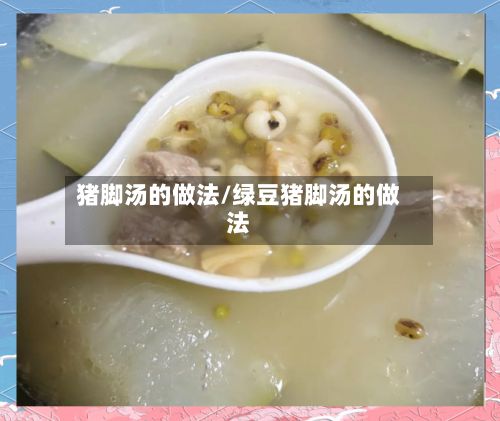 猪脚汤的做法/绿豆猪脚汤的做法-第3张图片