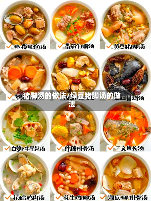 猪脚汤的做法/绿豆猪脚汤的做法