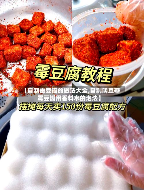 【自制霉豆瓣的做法大全,自制阴豆瓣霉豆瓣用香料水的泡法】-第2张图片