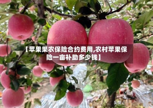 【苹果果农保险合约费用,农村苹果保险一亩补助多少钱】-第3张图片