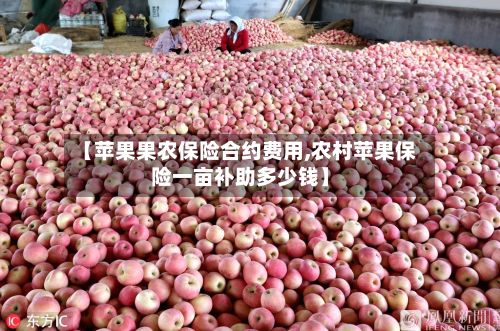 【苹果果农保险合约费用,农村苹果保险一亩补助多少钱】-第2张图片