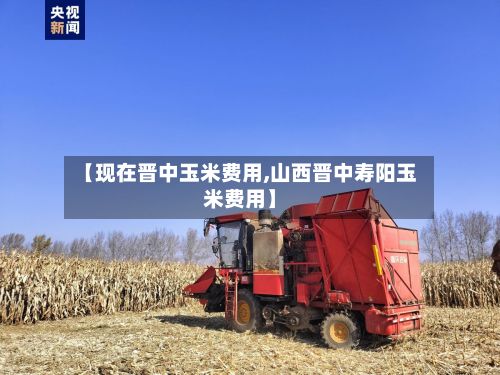 【现在晋中玉米费用,山西晋中寿阳玉米费用】-第2张图片
