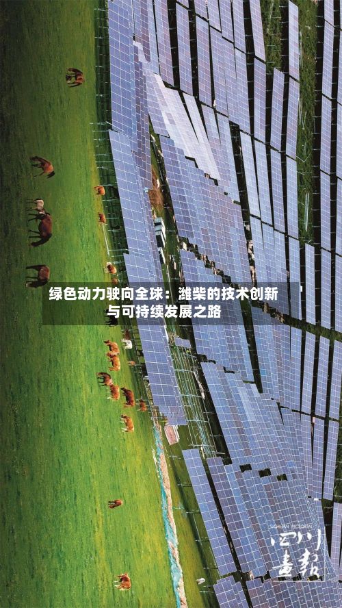 绿色动力驶向全球：潍柴的技术创新与可持续发展之路-第2张图片