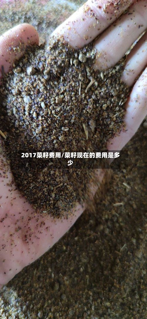 2017菜籽费用/菜籽现在的费用是多少