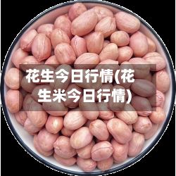 花生今日行情(花生米今日行情)