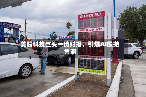 美股科技巨头一份财报，引爆AI股抛售潮-第3张图片