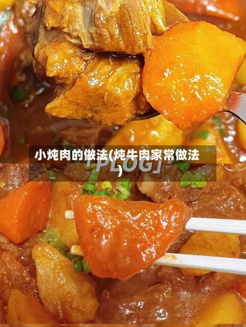 小炖肉的做法(炖牛肉家常做法)-第3张图片