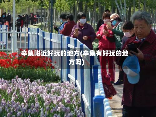 辛集附近好玩的地方(辛集有好玩的地方吗)