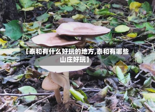 【泰和有什么好玩的地方,泰和有哪些山庄好玩】