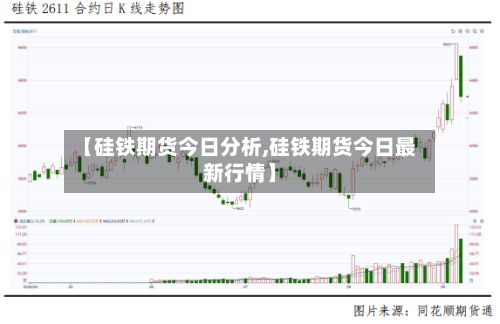 【硅铁期货今日分析,硅铁期货今日最新行情】-第2张图片