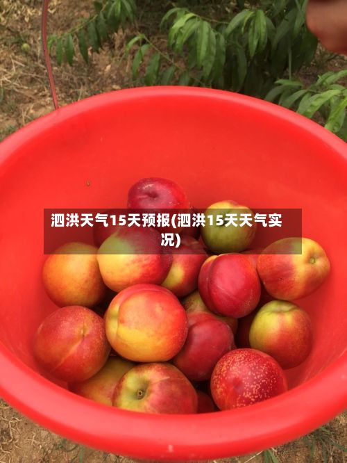 泗洪天气15天预报(泗洪15天天气实况)-第2张图片