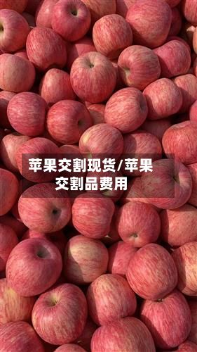 苹果交割现货/苹果交割品费用