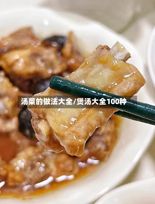 汤菜的做法大全/煲汤大全100种