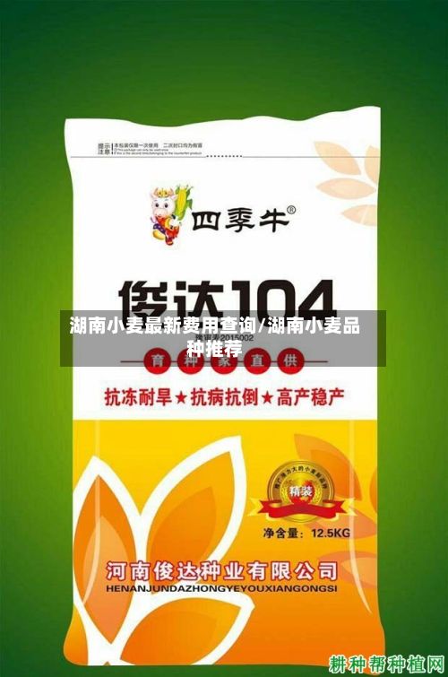 湖南小麦最新费用查询/湖南小麦品种推荐