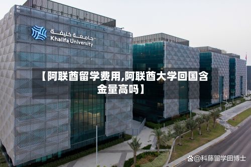 【阿联酋留学费用,阿联酋大学回国含金量高吗】-第3张图片