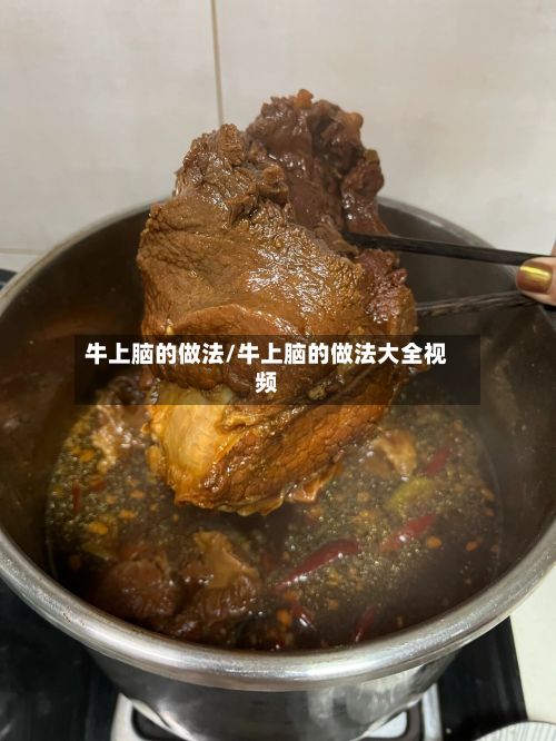 牛上脑的做法/牛上脑的做法大全视频