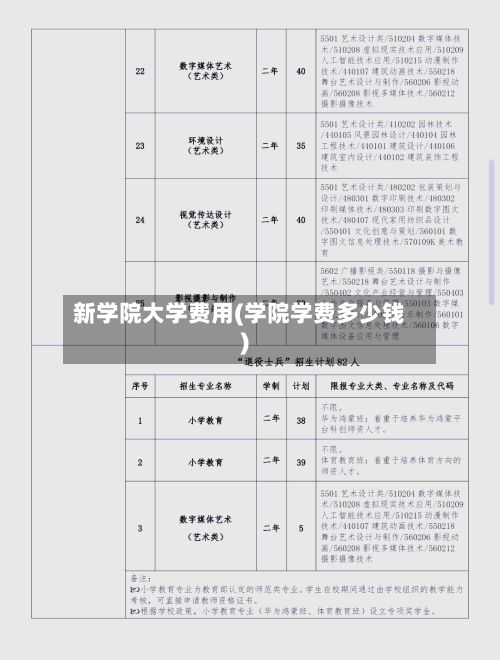 新学院大学费用(学院学费多少钱)-第3张图片
